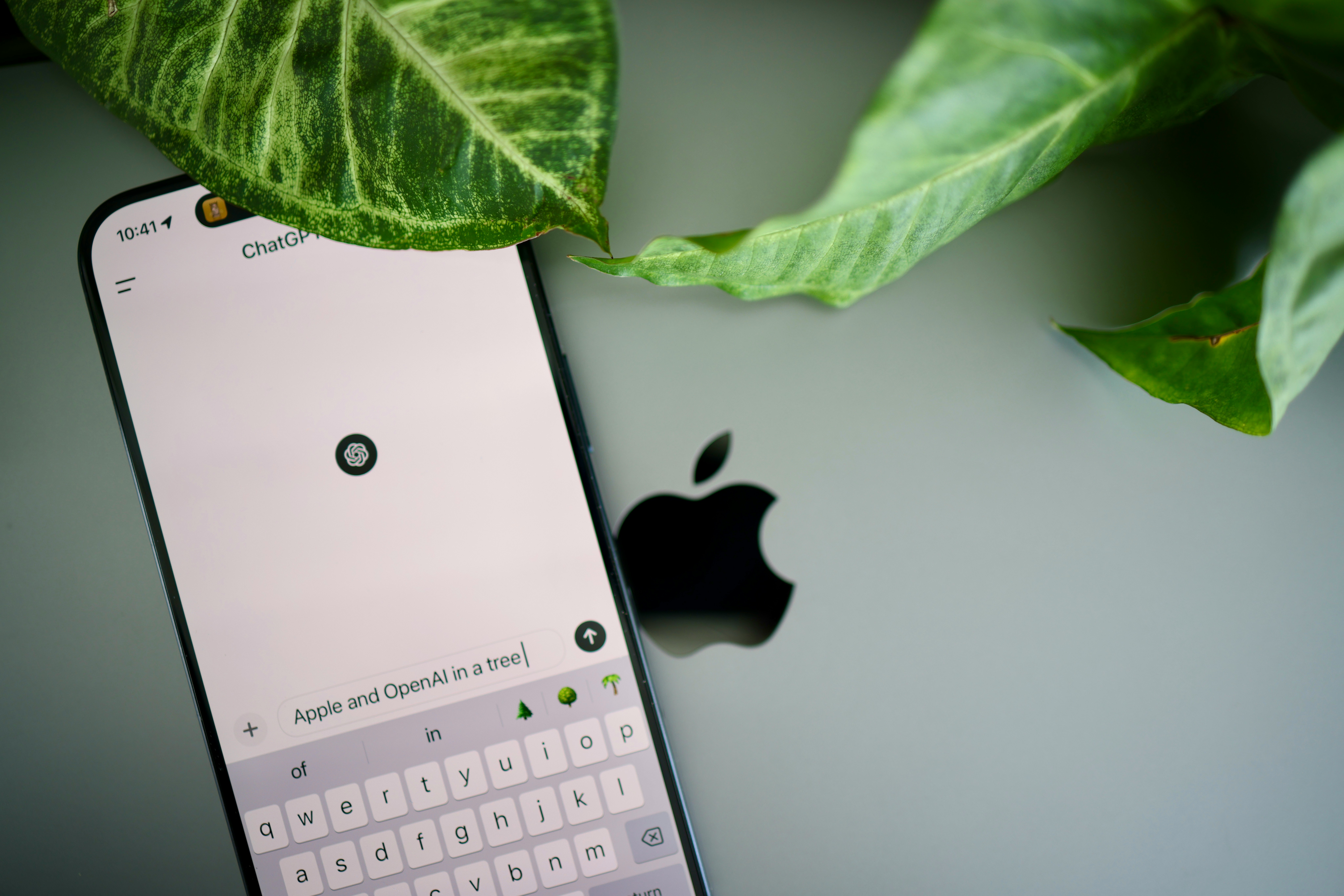 solen-feyissa-75EbgtnrVfw-unsplash-1