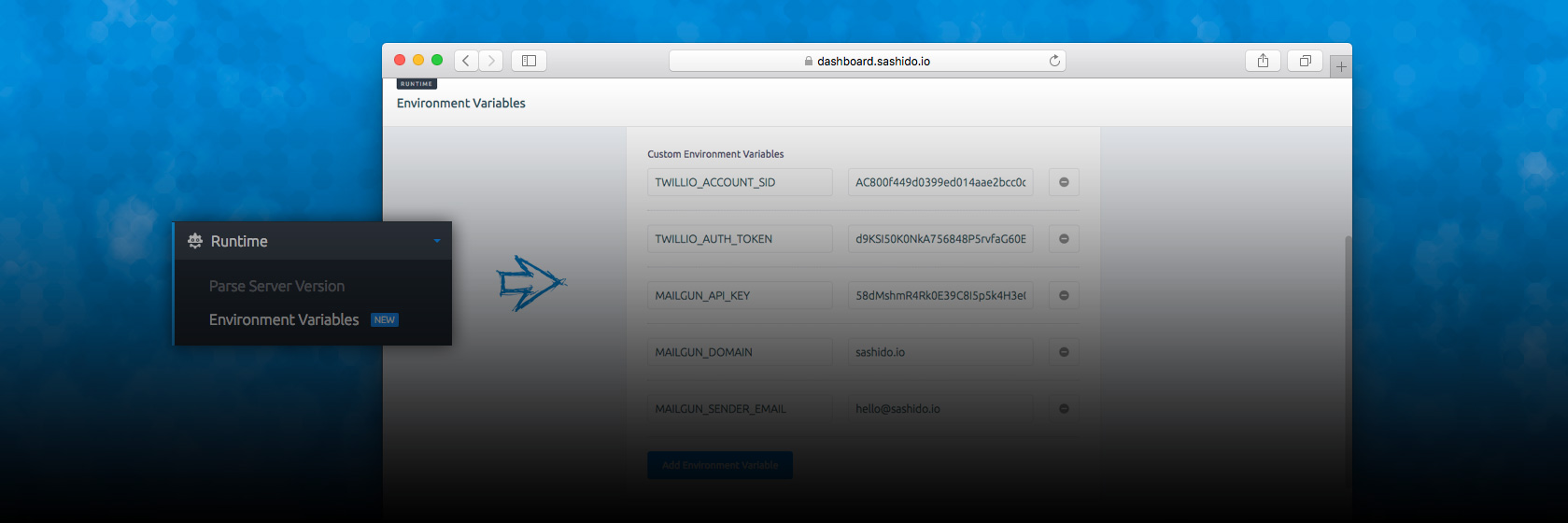 One-click Environment Variable Examples for OpenAI, Stripe, Sentry & 9 More Services